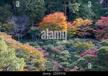 Japan, Kyoto, Ginkakuji Temple - Welterbe Stockfoto