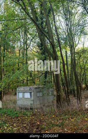 Alte Karawane versteckt unter Bäumen im Wald, Suffolk, England, Großbritannien Stockfoto