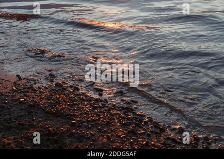 Kiesstrand in der Nähe mit Surfen Meer in einem Sonnenuntergang Licht. Steine in verschiedenen Größen auf dem Hintergrund des Meeres in Abenduntergang. Stockfoto