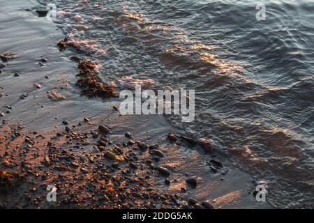 Kiesstrand in der Nähe mit Surfen Meer in einem Sonnenuntergang Licht. Steine in verschiedenen Größen auf dem Hintergrund des Meeres in Abenduntergang. Stockfoto