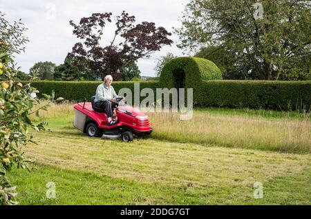 Schrittweise Verringerung der Höhe eines Wildblumenrasen bei Das Ende des Sommers in einem englischen Garten in Großbritannien Stockfoto