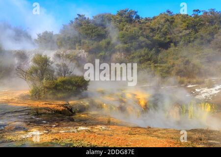 Orakei Korako Geothermie Gebiet, Neuseeland. Dampf steigt aus kochenden Pools, umgeben von bunten Algen Stockfoto