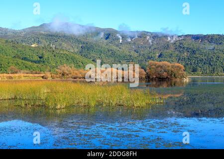 Lake Taupo, Neuseeland, im Herbst. Bäume mit Herbstlaub wachsen am Ufer und Dampf steigt aus geothermischen Quellen in den Bergen Stockfoto