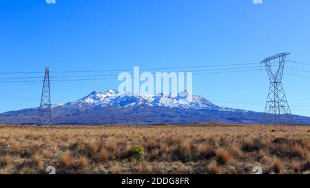 Mount Ruapehu, Neuseeland, von den Bussockenlandschaften der Rangipo-Wüste aus gesehen, mit Powerpylonen im Vordergrund Stockfoto