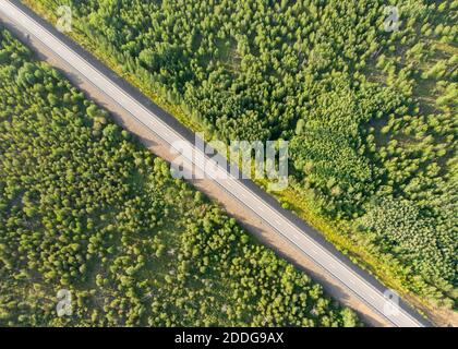 Luftaufnahme der leeren Landstraße ohne Auto zwischen Wäldern an einem sonnigen Tag. Schöne Draufsicht von Drohne auf Naturlandschaft und Autobahn. Kein Verkehr Stockfoto