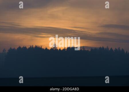 Bernsteinfarbener Himmel Hintergrund mit wispy Wolken. Die Nadelbäume des Waldes werden gegen den goldenen Schein silhouettiert. Natürliche ländliche Landschaft bei redmires Stockfoto