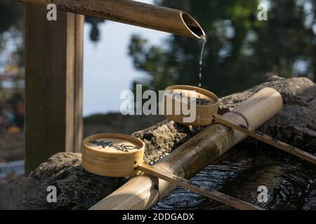 Nahaufnahme Detail eines chozubati, 手水鉢, oder Wasser Schüssel, verwendet, um die Hände in Himuro Jinja Schrein in Nara, Japan zu spülen Stockfoto