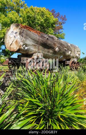 Ein riesiger Kauri loggt auf einem alten Eisenbahnwagen in Katikati, Neuseeland, ein Relikt der Holzfällerindustrie der Stadt Stockfoto