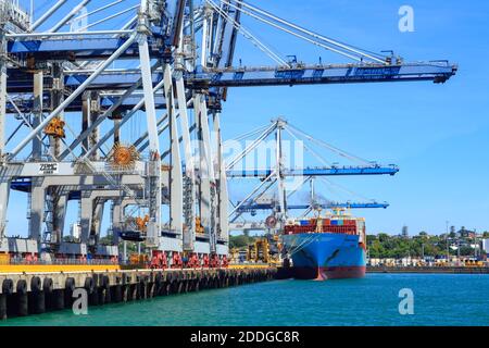 Ein Containerschiff unter den riesigen Kränen des Hafens von Auckland, Neuseeland Stockfoto