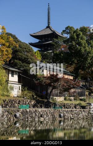 Die fünfstöckige Pagode des Kofuku-ji-Tempels in Nara, Japan, erhebt sich an einem sonnigen Tag über den Bäumen nahe dem Sarusawa-Teich im Zentrum der Stadt Stockfoto