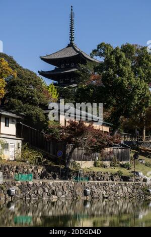 Die fünfstöckige Pagode des Kofuku-ji-Tempels in Nara, Japan, erhebt sich an einem sonnigen Tag über den Bäumen nahe dem Sarusawa-Teich im Zentrum der Stadt Stockfoto