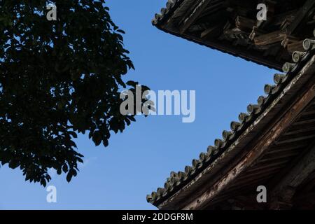 Detail des Daches von Nandai-mon, das große Südtor am Todai-ji Tempel in Nara, Japan gegen einen blauen Himmel an einem sonnigen Tag. Stockfoto