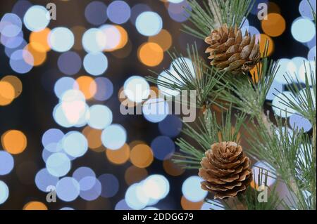 Weihnachtsdekoration mit Tannenbrunch und Bokeh Glitter Stockfoto