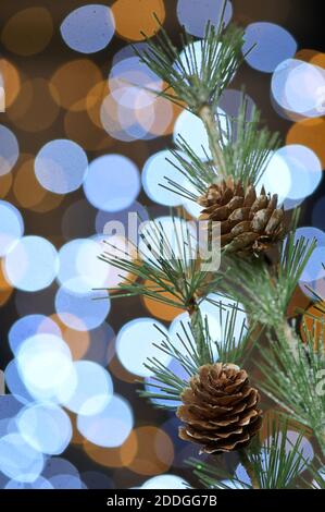 Weihnachtsdekoration mit Tannenbrunch und Bokeh Glitter Stockfoto