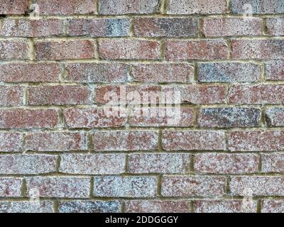 Verwitterte weiß waschen alten Backsteinmauer Nahaufnahme mit Tiefe Schatten und Details als Hintergrund für die Website-Architektur Präsentation sc Stockfoto