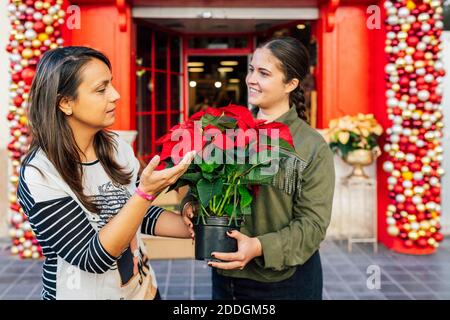 Frau, die vor dem Laden steht, mit einer Kundin an der roten Tür Mit weihnachts-Deko-Kugeln halten Topf von Weihnachtsstern Blume in Tageslicht Stockfoto