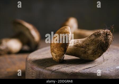 Zusammensetzung von rohen ganzen Steinpilzen oder cep Pilze beim Schneiden Brett in Holz rustikalen Tisch Stockfoto