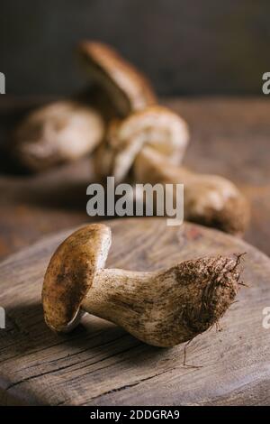 Zusammensetzung von rohen ganzen Steinpilzen oder cep Pilze beim Schneiden Brett in Holz rustikalen Tisch Stockfoto
