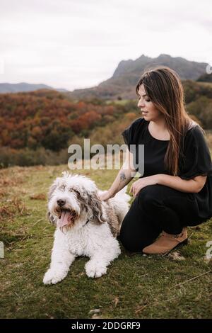 Cute flauschig Spanisch Wasser Hund geben Pfote für lächelnd weiblich Besitzer während er zusammen auf einem grasbewachsenen Hügel in den Bergen sitzt Stockfoto