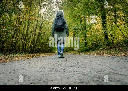Rückansicht von Explorer in Oberbekleidung und mit Rucksack zu Fuß Entlang der Straße in grünen Wäldern während des Abenteuers Stockfoto