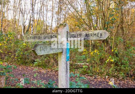 Eine hölzerne Fingerpost auf einem öffentlichen Fußweg durch Wälder auf Whitmoor Common, einem Naturschutzgebiet in Worplesdon, einem Dorf in der Nähe von Guildford, Surrey Stockfoto