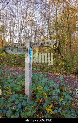 Eine hölzerne Fingerpost auf einem öffentlichen Fußweg durch Wälder auf Whitmoor Common, einem Naturschutzgebiet in Worplesdon, einem Dorf in der Nähe von Guildford, Surrey Stockfoto