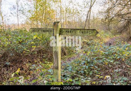 Eine hölzerne Fingerpost auf einem öffentlichen Fußweg durch Wälder auf Whitmoor Common, einem Naturschutzgebiet in Worplesdon, einem Dorf in der Nähe von Guildford, Surrey Stockfoto