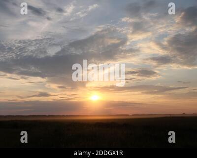 Die Sonne untergeht über dem Horizont. Silhouetten von Bäumen auf Sonnenuntergang Himmel Hintergrund. Bunte Wolken. Stockfoto