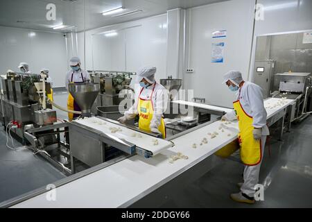 (201125) -- SHAXIAN, 25. November 2020 (Xinhua) -- Arbeiter produzieren gefrorene Knödel im Shaxian Snacks Industriepark in Sanming City, südöstlich von Fujian Provinz, 18. November 2020. Nudeln in Knochensuppe mit Erdnussbutter gekocht, und Wontons gefüllt mit saftigem Fleisch in einer brutzelnden Suppe - das sind die Shaxian Köstlichkeiten, die über die Straßen von China gefegt haben. Shaxian Delikatessen, die ihren Ursprung im Shaxian Bezirk in der Provinz Fujian haben, sind in China in den letzten Jahrzehnten bekannt geworden. Derzeit sind neben der Anwendung von automatischen Maschinen auch Halbzeuge Stockfoto