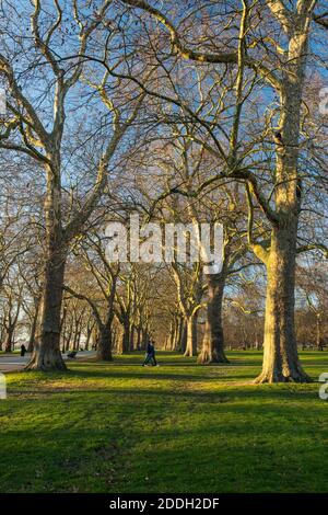 Spaziergang im Hyde Park, London, England Stockfoto