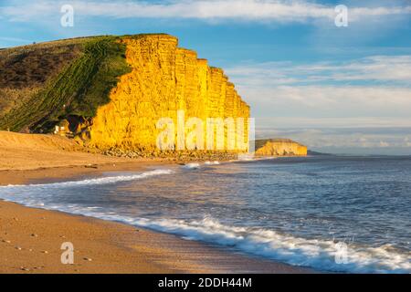 West Bay, Dorset, Großbritannien. November 2020. Die berühmten Sandsteinklippen leuchten golden orange in der späten Nachmittag Herbstsonne im Badeort West Bay in Dorset. Bild: Graham Hunt/Alamy Live News Stockfoto