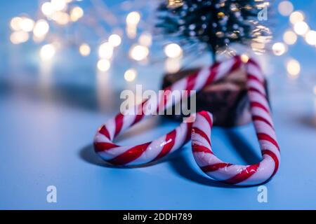 Zuckerrohr in Form eines Herzens auf blauem Hintergrund. Weihnachtskonzept, Neujahr, Minimalismus. Flach liegend, Draufsicht Stockfoto