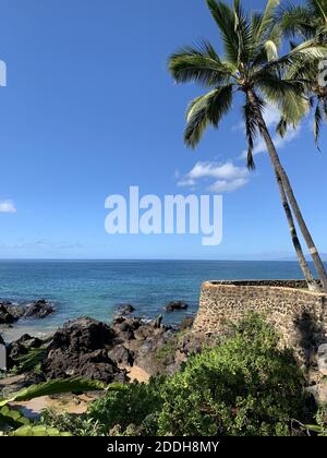 Eine vertikale Aufnahme von Palmen an einem Strand umgeben von Meer und Felsen in Maui, Hawaii Stockfoto