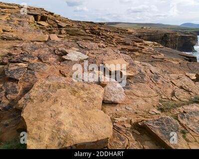 Verwitterte Sandsteinfelsen bei Yesnaby, Orkney Inseln Stockfoto