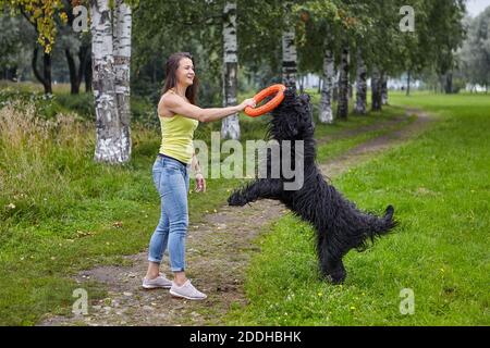 Black briard spielt mit lächelnder Frau während des Hundespazierens im öffentlichen Park. Weibliche Besitzer geht mit Haustier im Freien. Stockfoto