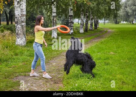 Black briard spielt mit weiblicher Besitzerin, die einen Spielzeugring im öffentlichen Park benutzt. Hund spielt mit Frau beim Gehen im Freien. Stockfoto