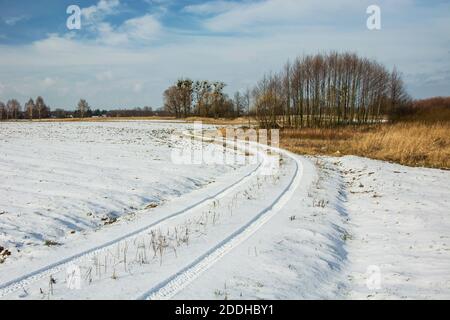 Spuren von Rädern im Schnee auf einem Feldweg, Bäume und Himmel, Winteransicht Stockfoto