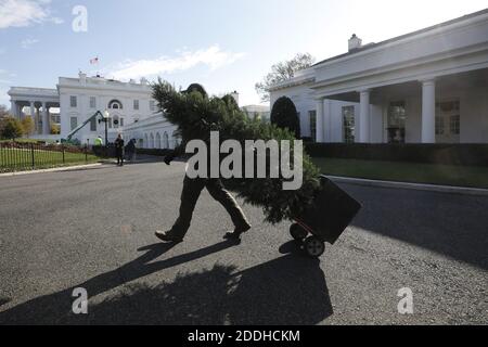 Washington, Usa. November 2020. Ein Arbeiter zieht am 25. November 2020 auf dem Gelände des Weißen Hauses in Washington einen Weihnachtsbaum. Foto von Yuri Gripas/UPI Kredit: UPI/Alamy Live News Stockfoto