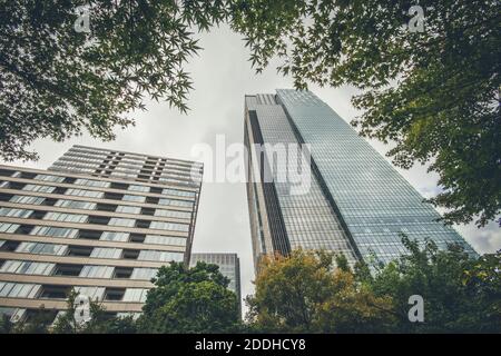 Stadt durch die Bäume Stockfoto