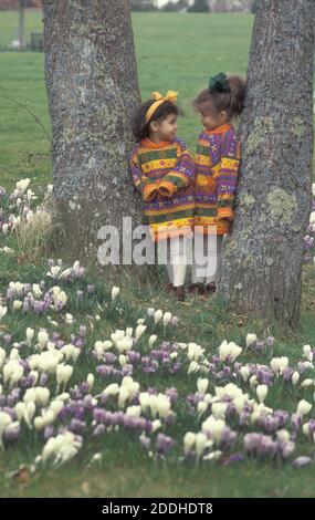Zwei kleine Schwestern stehen zwischen Krokussen mit einem netten Gespräch Stockfoto