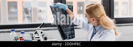 Wissenschaftler in der medizinischen Maske Blick auf Röntgen im Labor, Banner Stockfoto