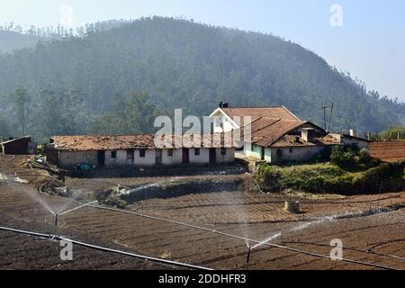 Ländliche Landschaft mit landwirtschaftlichen Feldern, Wassersprinklern und Gebäuden mit orangefarbenen Schindeln Dach. Indische Landwirtschaft Farm. Ooty, Indien Stockfoto