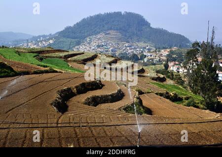 Terrassenfelder mit Wassersprinklern auf einem Bauernhof. Indische Landwirtschaft. Blick auf ein kleines Dorf in der Nähe von Ooty (Udhagai), Indien Stockfoto