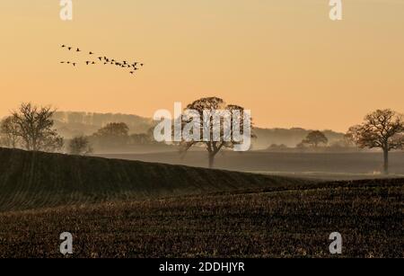 Der Blick auf die holsteinische Seenlandschaft in Plön war wegen des Nebels etwas eingeschränkt. Die Stimmung war besonders und magisch. Stockfoto