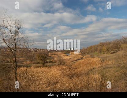 Landschaft auf dem Land, Schilf. In der Ferne, Wohndorf dachas, vor dem Hintergrund der mehrstöckigen Gebäuden, Ukraine. Stockfoto