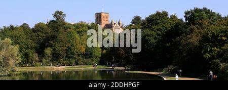 Verulam Lake, Verulamium Park, St Albans City, Hertfordshire County, England Stockfoto