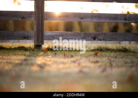 Die Sonne gipfeln über einem Zaun Schiene auf einem kühlen Oktober Morgen Stockfoto