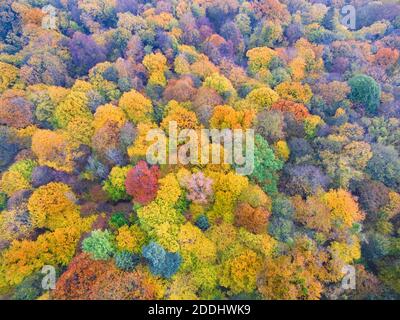 Luftaufnahme der schönen Landschaft der Region Mazury im Herbst Saison Stockfoto