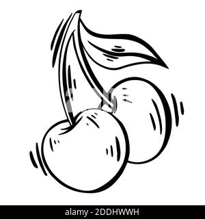 Cherry Vektor Hand Zeichnungsset. Isolierte Beere auf weißem Hintergrund. Ideal für Etiketten, Drucke, Obst-Design Stockfoto