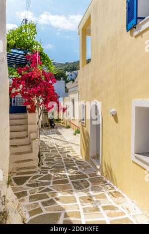 Malerische Gasse auf der griechischen Insel lefkes Paros mit einer blühenden Bougainvillea und traditionellen Häusern. Stockfoto